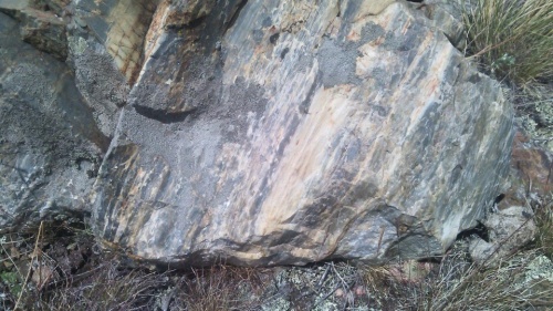 Гигантские зелёные валуны для ландшафтного дизайна весом более 5 тонн купить в Твери