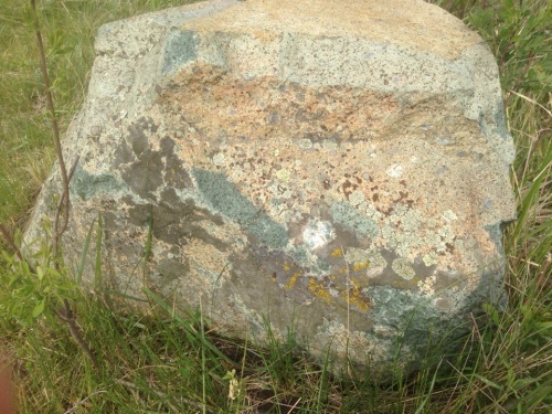 Гигантские зелёные валуны для ландшафтного дизайна весом более 5 тонн купить в Твери