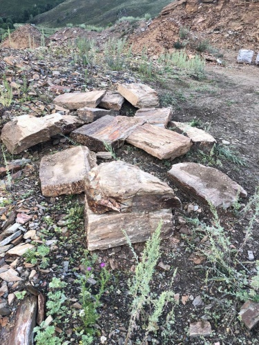 Плитняк кора дерева 50-100мм для пошаговых дорожек купить в Твери